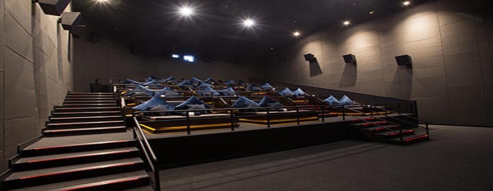 ScreenX Gallery 4
